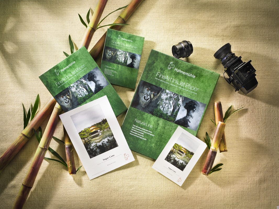 RS2282_Sugar Cane_Mood-scr (1)